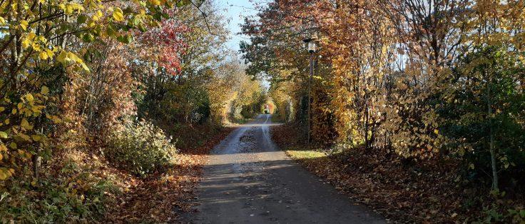 Bazouges Les Courtils