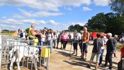 image-de-la-rando-ferme